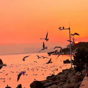 女性肛交一次肛门多久恢复
